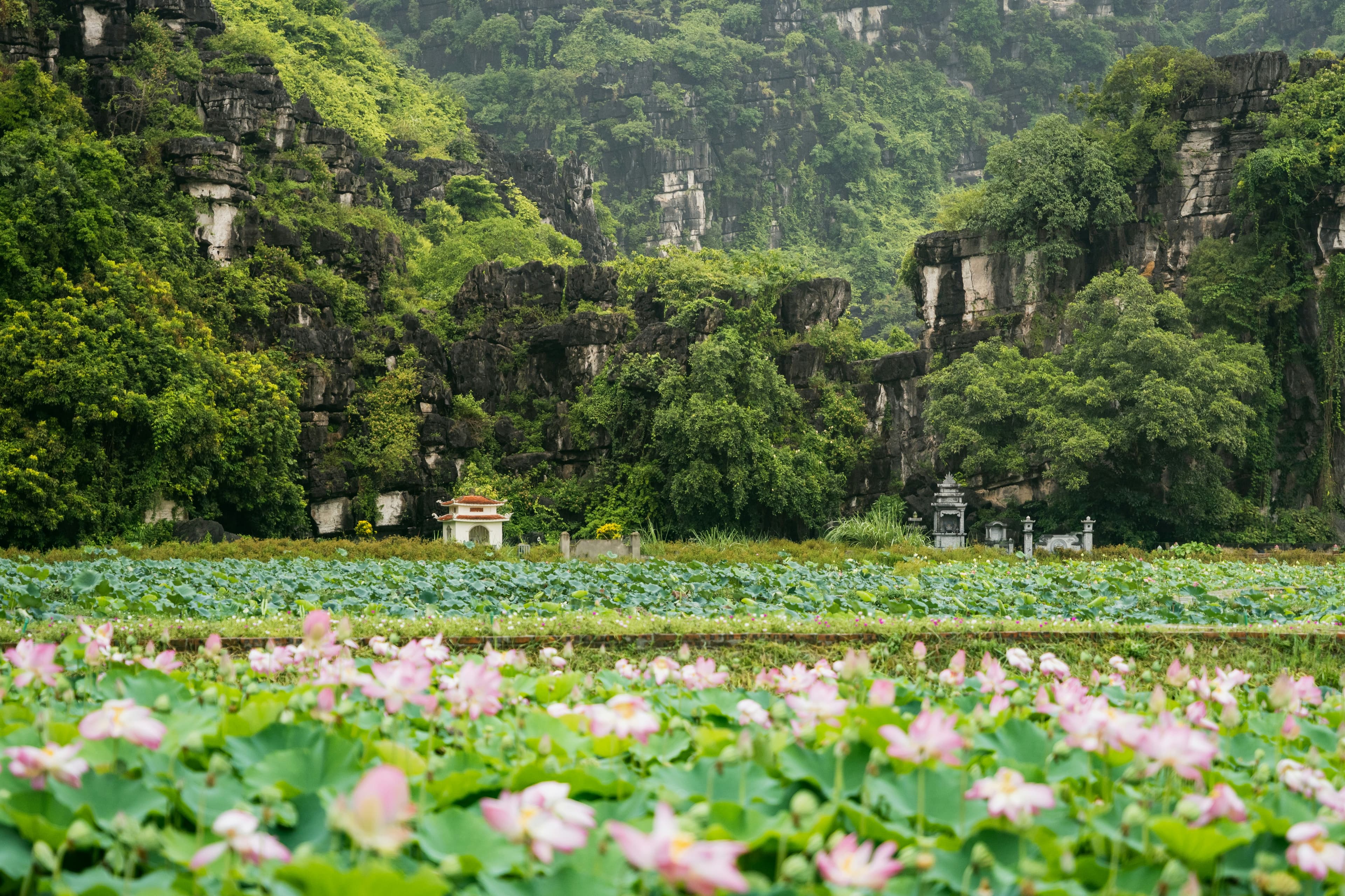 NINH BINH photo 3