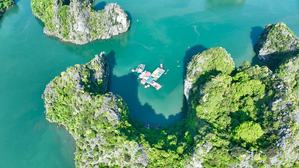 BAI TU LONG BAY photo 5
