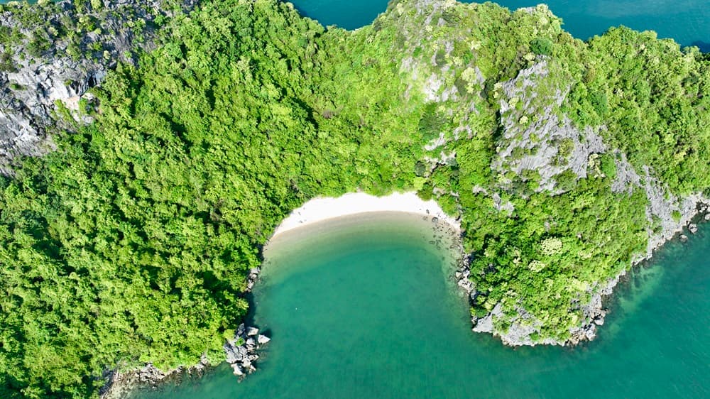 BAI TU LONG BAY photo 4