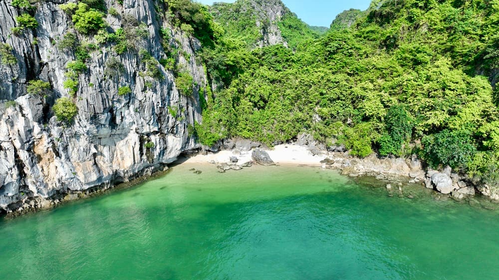 BAI TU LONG BAY photo 3