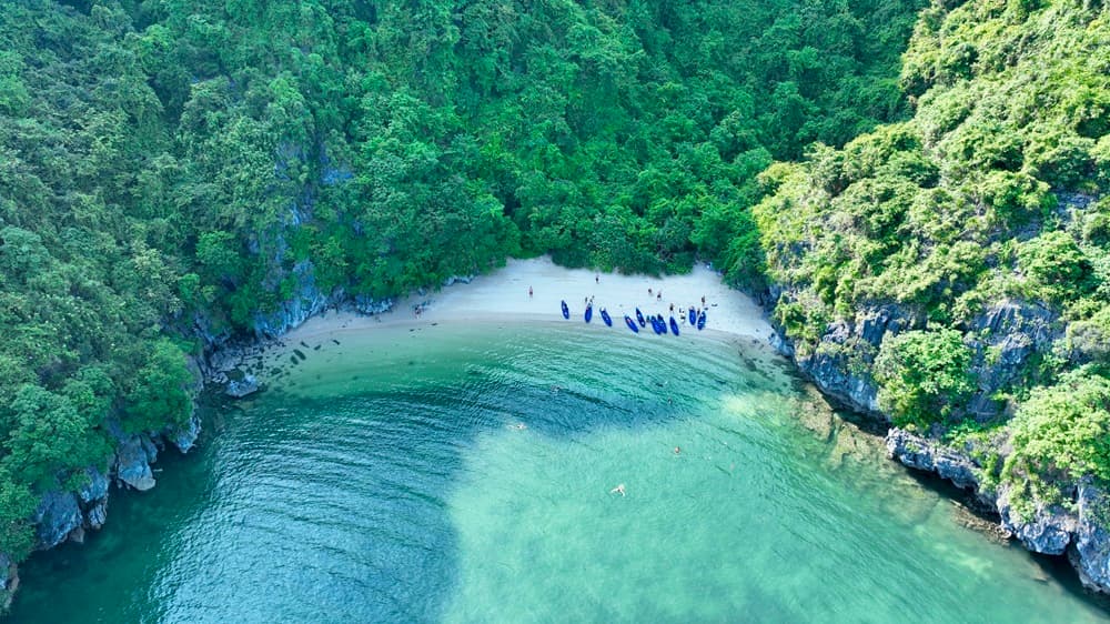 BAI TU LONG BAY photo 1